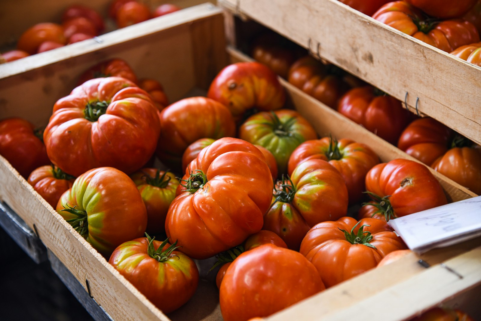 Fresh heirloom tomatoes in a variety of colors