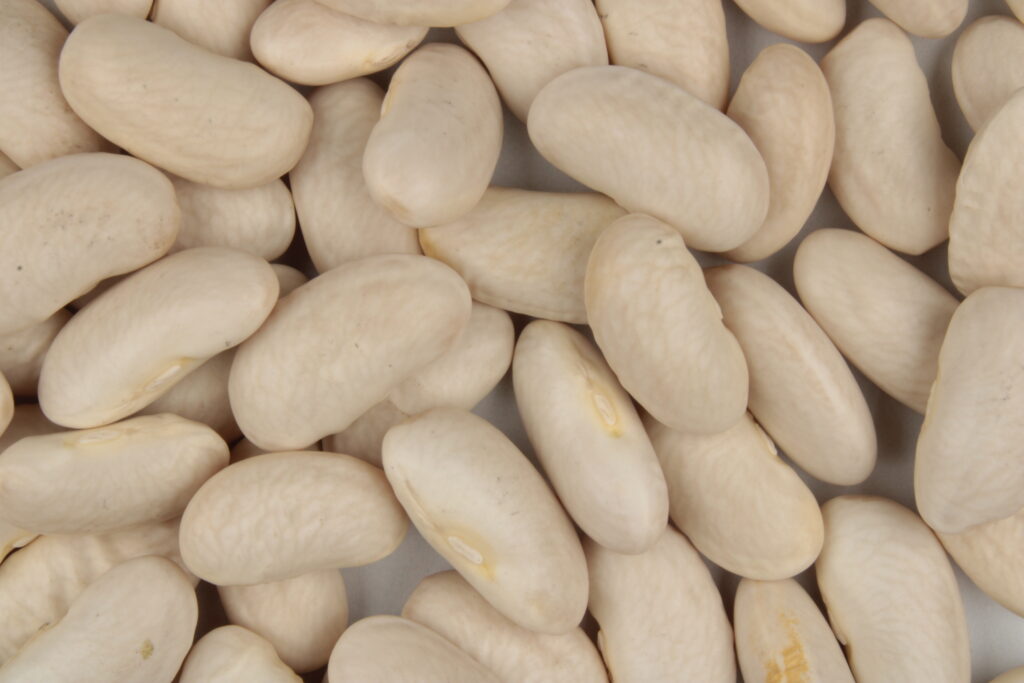 An open can of white beans beside a bowl of drained beans on a kitchen counter