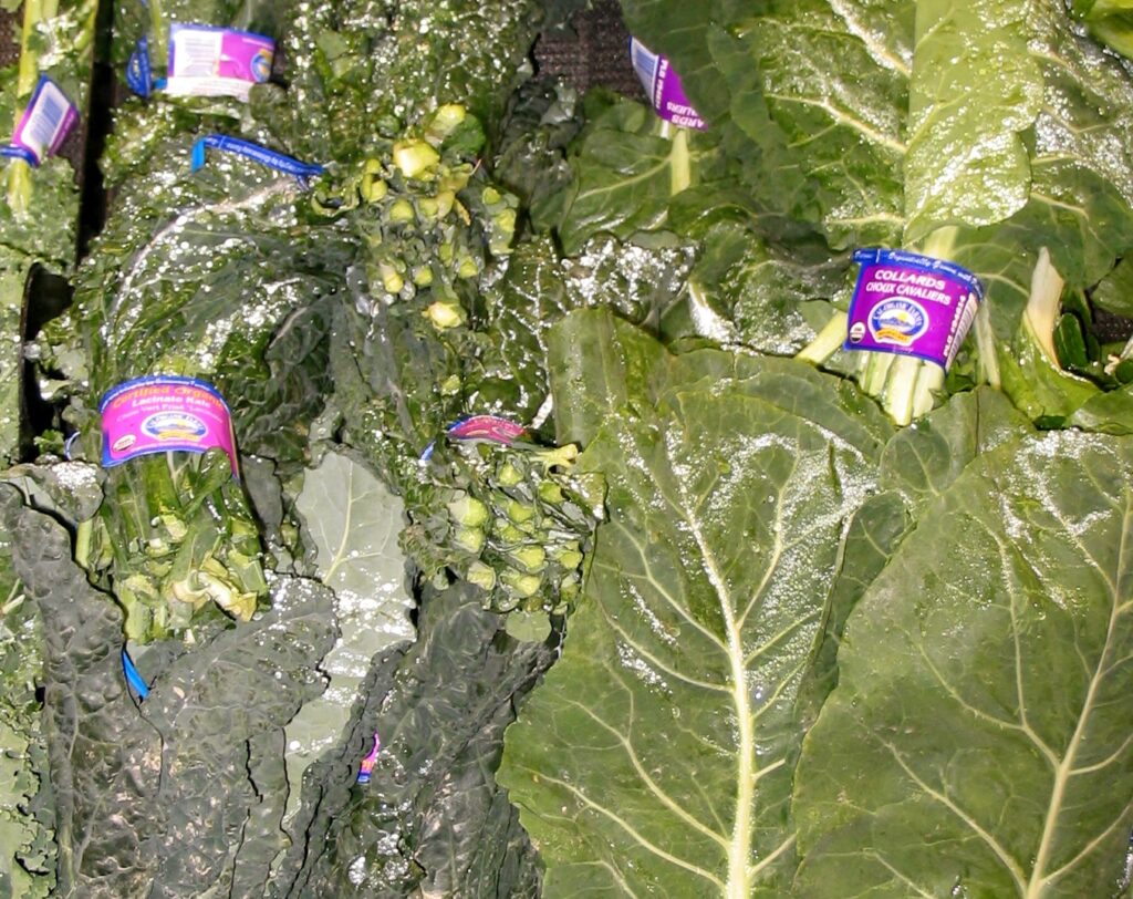 Dark blistered lacinato kale leaves on a wooden board with the ribs pulled away